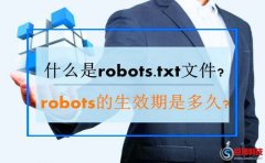 什么是robots.txt文件?robots.txt文件的生效期是多久?